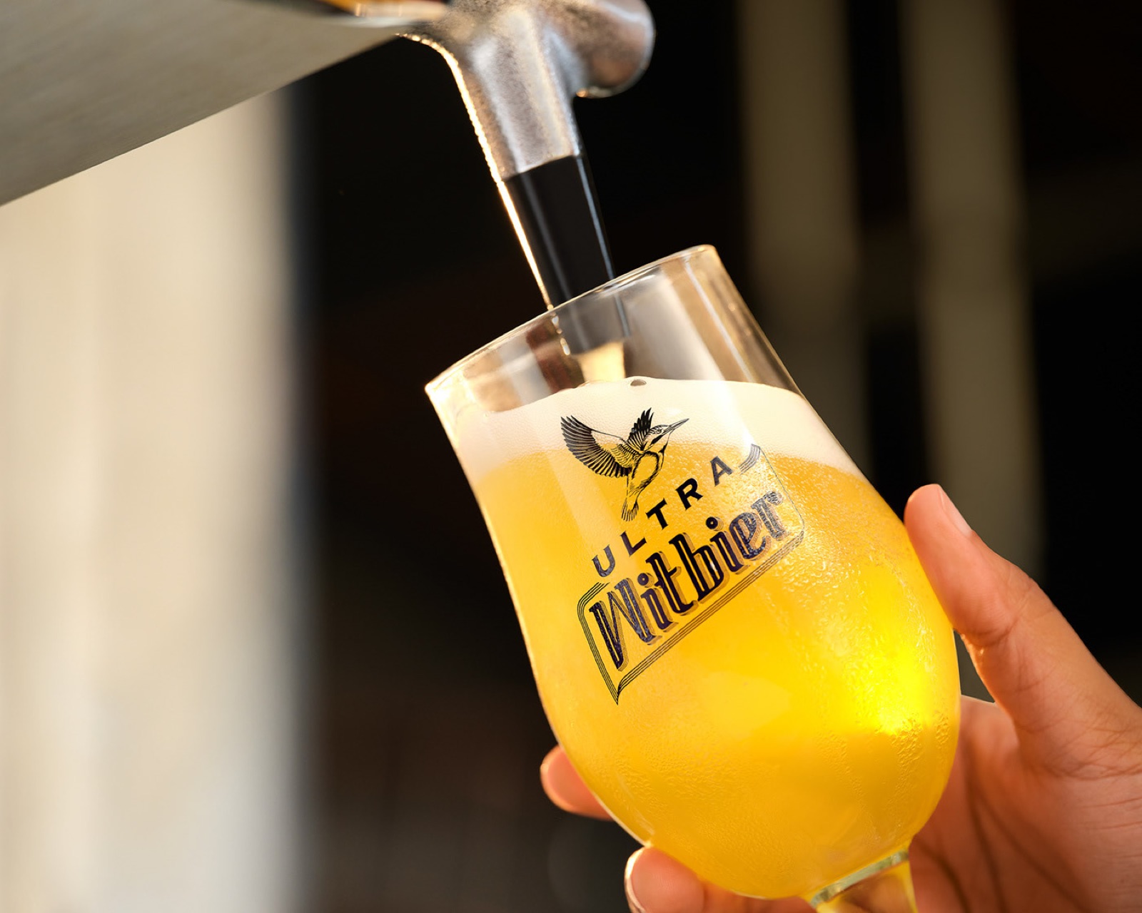 Kingfisher Ultra · Ultra Max · Witbier